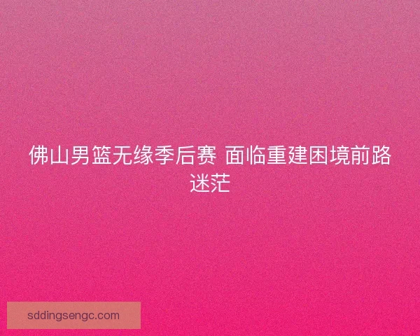 佛山男篮无缘季后赛 面临重建困境前路迷茫